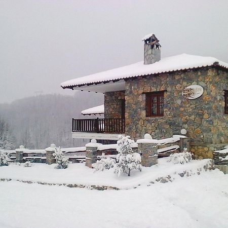 Diaselon Apartment Elatochorion Bagian luar foto
